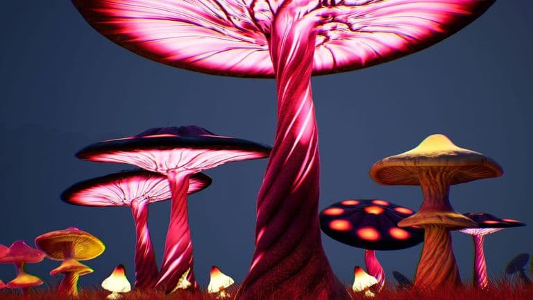 Levitation Festival 2025: Austin’s Psychedelic Music Celebration Returns