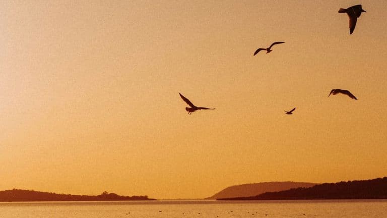 Indie-Folk Artist Sarah Larkin’s ‘Golden Hours’ Captivates with Lush Arrangements and Poignant Lyrics