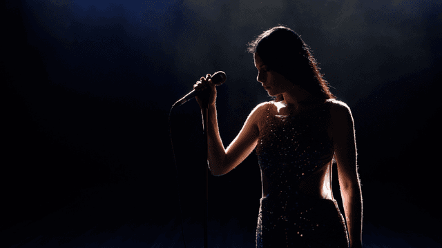 Silhouette of a singer holding a microphone under dramatic stage lighting