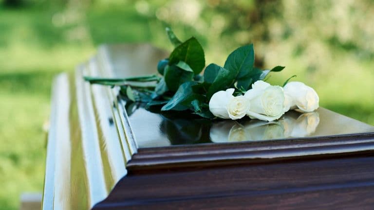 Brian Wilson, Co-Founder of The Beach Boys, Passes Away at 82