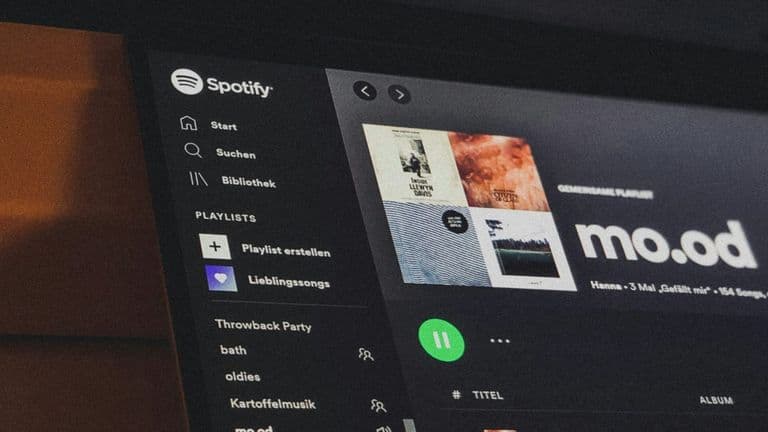 Streaming Services: Are They Hurting or Helping Independent Musicians?