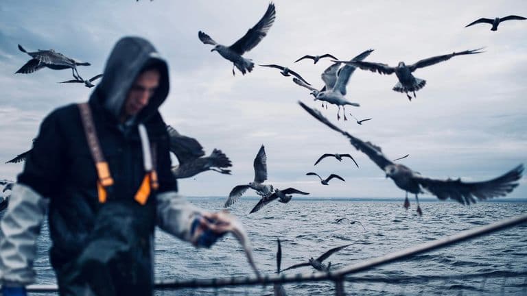 Jenn Wasner (Flock of Dimes): Exploring Vulnerability in New Music