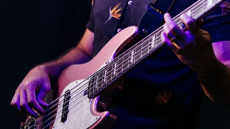 Live Music in 2024: Why the Concert Experience is More Important Than Ever