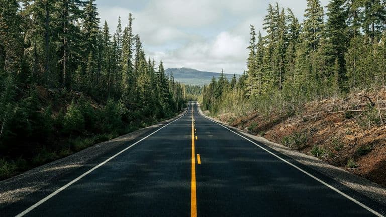 Olivia Rodrigo’s ‘The Long Road’ Marks a New Chapter in Her Emotional Evolution