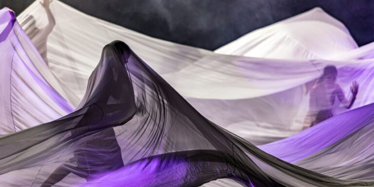 Header image (40)