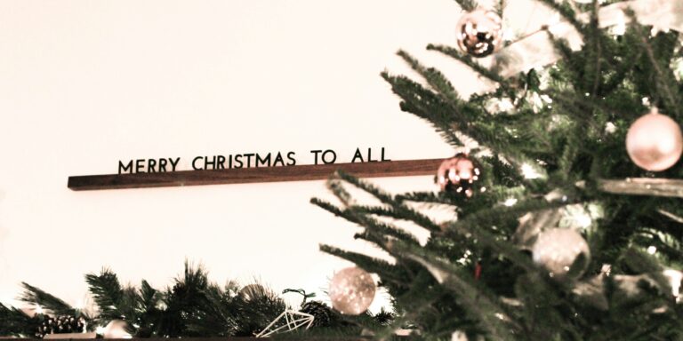 Header image (43)